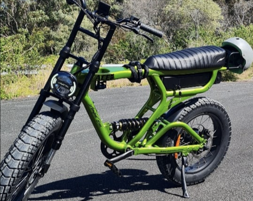 Reward Offered for Return of Stolen E-Bike: Currumbin Family Left Stranded